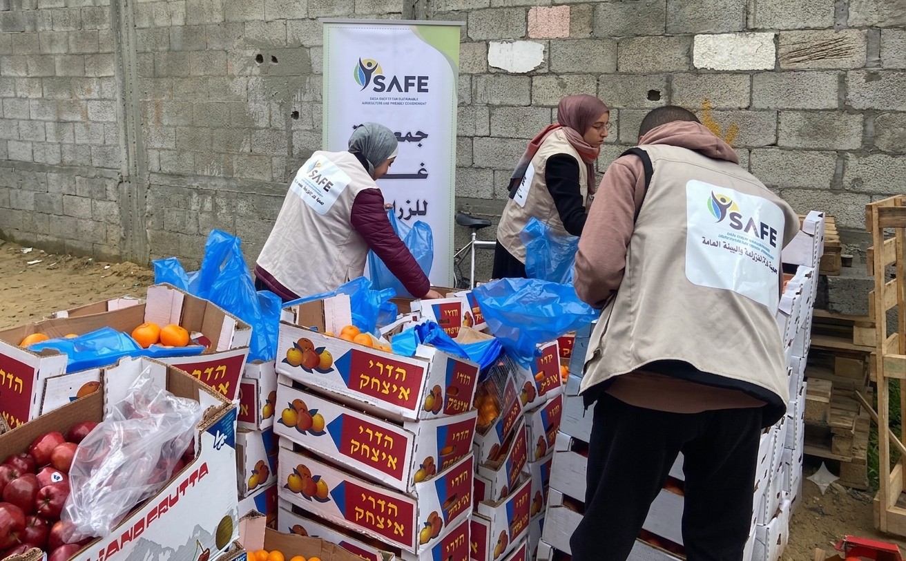 توزيع طرود خضار طازجة للأسر العائدة إلى مدينة غزة 500 اسرة عائدة