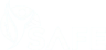 New Project (1)